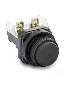 800H-R2A Allen Bradley - New Push Button