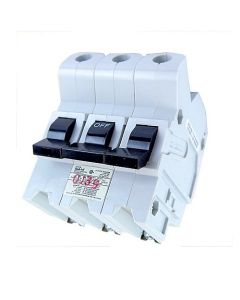 NB232060FED Federal Pioneer - New Circuit Breaker