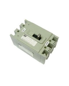 HEF425100-GREEN FPE - Circuit Breaker
